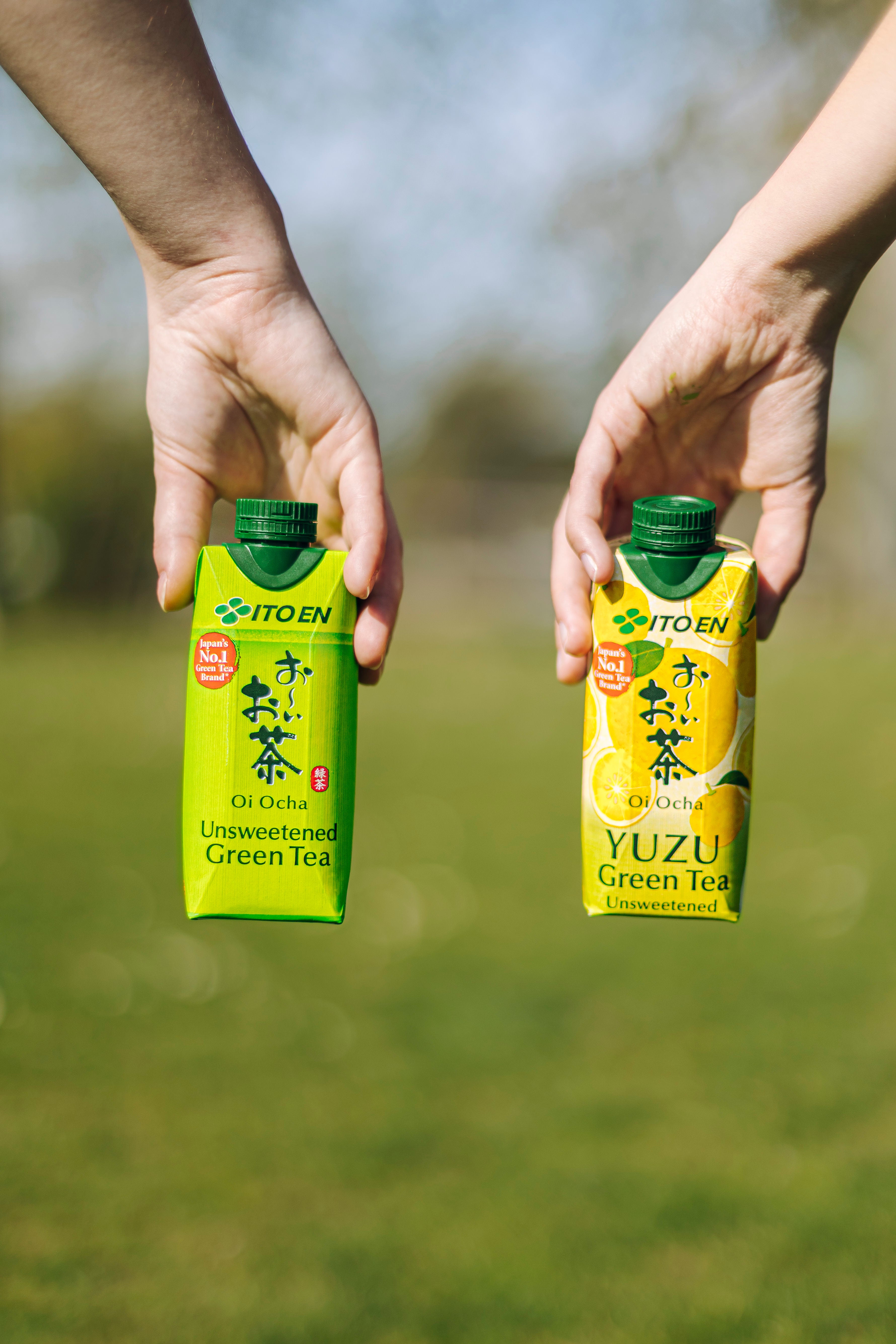 Oi Ocha Yuzu Green Tea