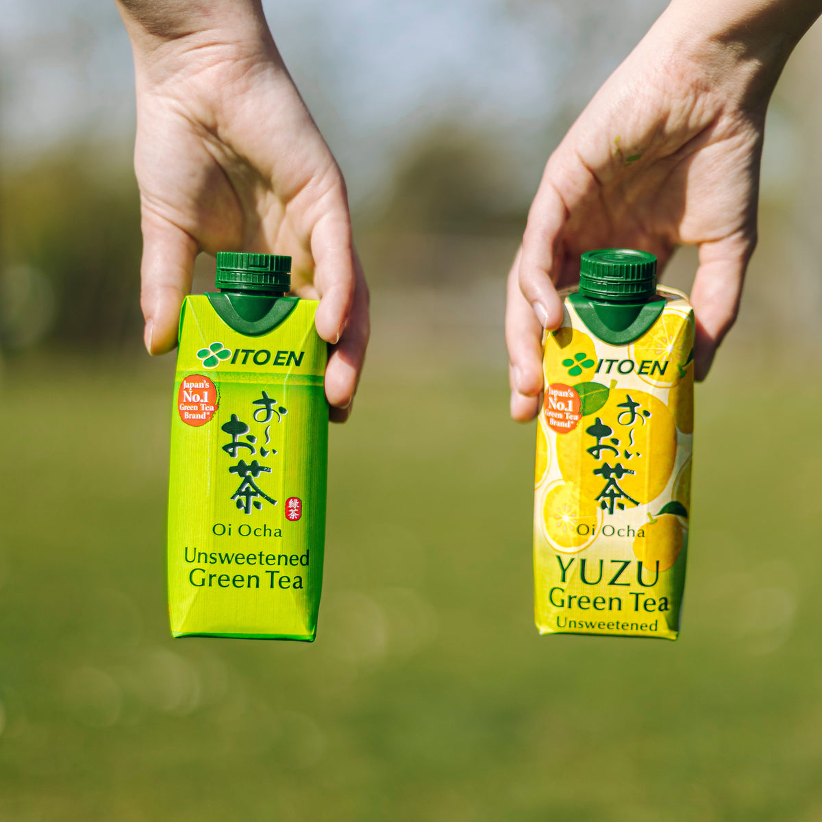 Oi Ocha Yuzu Green Tea