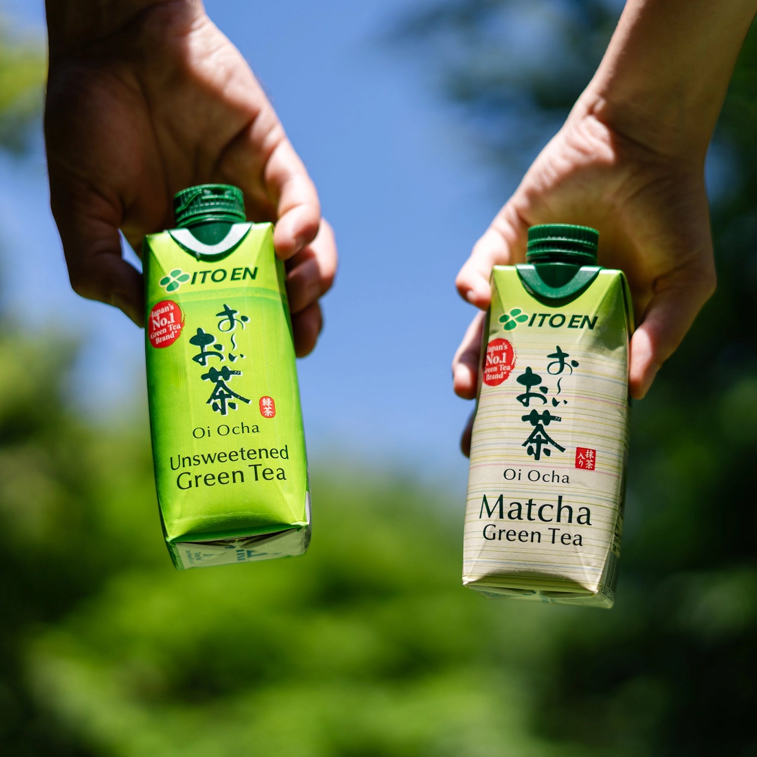 Oi ocha ungesüßter Matcha -grüner Tee